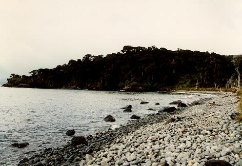 PAUA BAY
