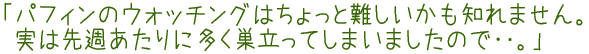uptB̃EHb`O͂Ɠm܂BuptB̃EHb`O͂Ɠm܂B͐TɑĂ܂܂̂Łd