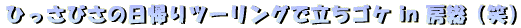 Ђт̓Ac[OŗSP in [i΁jB