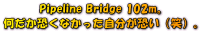 Pipeline Bridge 102m。何だか恐くなかった自分が恐い(笑)。