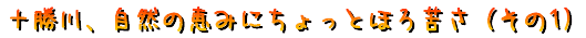 \AŘb݂ɂƂقꂳi1j@