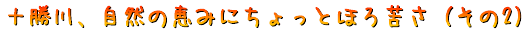 \AŘb݂ɂƂقꂳi2j