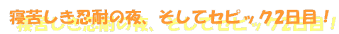QꂵEς̖AăZsbN2ځI