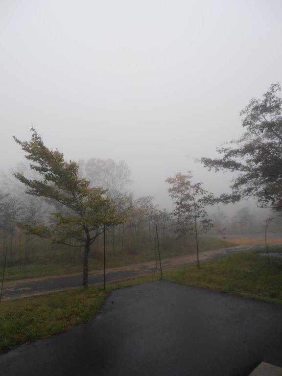 PA110907.jpg